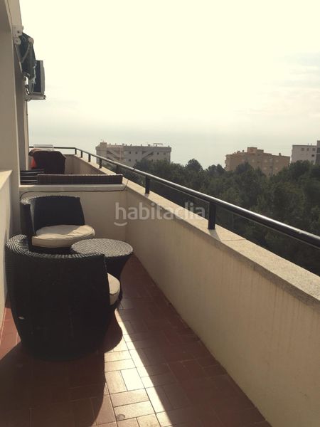 Foto c0539b74-e8be-4fcf-b240-24e17cd9c23e. Àtic amb piscina a Passeig Marítim Miami Platja
