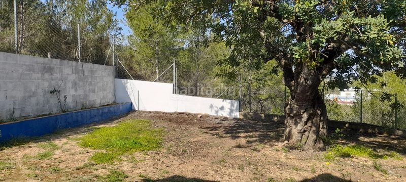 Foto 186789dc-806b-4464-9b34-25f8cf464863. Casa aparellada a Olimar-Carambolo-Atalaya de Levante Chiva