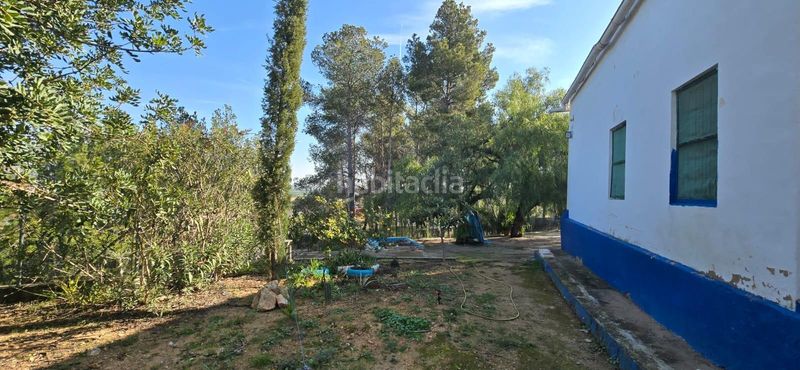 Foto 7ade7165-6a3b-46f8-b436-1f75df4a6abe. Casa aparellada a Olimar-Carambolo-Atalaya de Levante Chiva