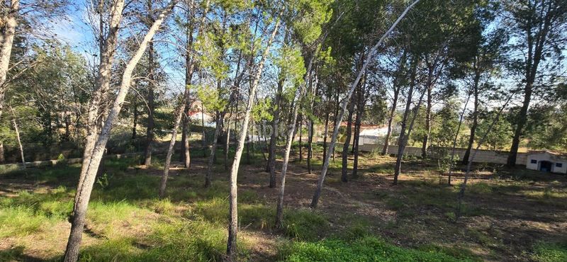 Foto e00dd110-edf5-4791-b7dc-d6411ecd8cfa. Casa aparellada a Olimar-Carambolo-Atalaya de Levante Chiva
