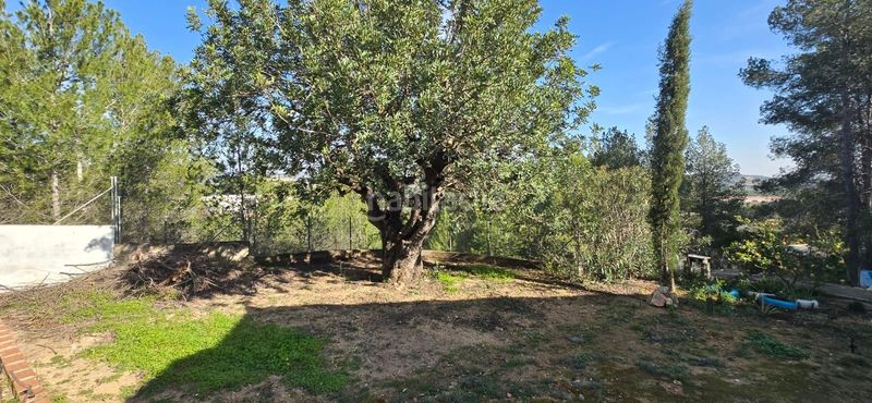 Foto ff6c7cb9-1cc2-4e45-ad31-c66c0a45bfe4. Casa aparellada a Olimar-Carambolo-Atalaya de Levante Chiva