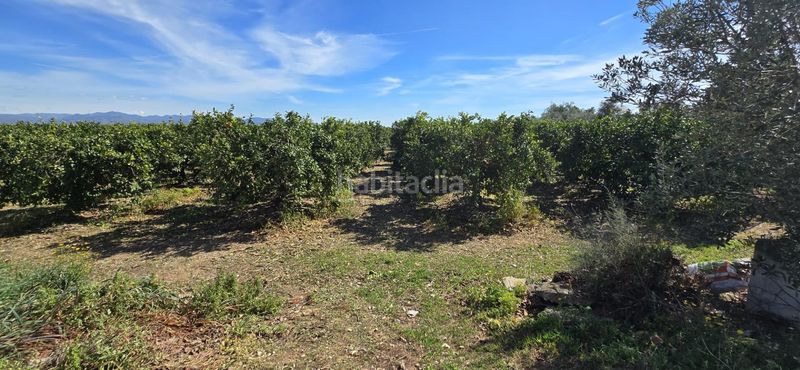 Foto 5fdf7822-a018-4b02-9475-f675c8121c5a. Masia a Santa Bárbara Llíria