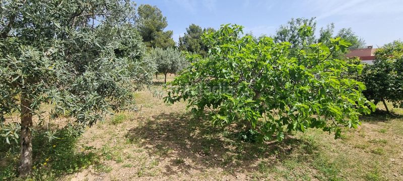 Foto 6064293a-85d8-4d90-8a2e-f15db11b9fc2. Xalet amb aparcament a Casinos