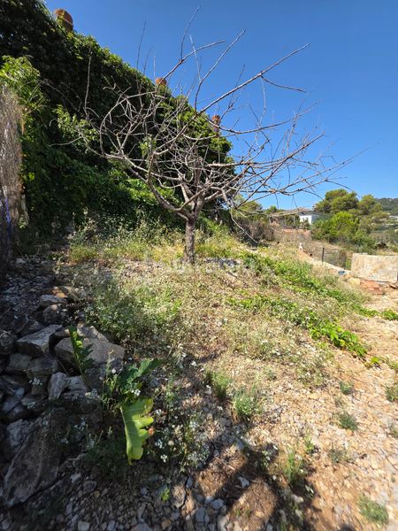 Foto 716c6b43-34e5-49f3-b0f4-69b9ee0a1e41. Casa amb calefacció aparcament a Vallirana