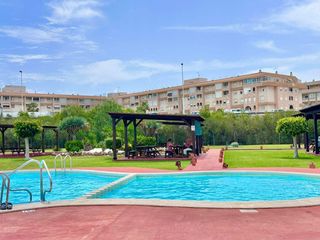 Àtic a Zona Carrefour - Urbanizaciones. Bungalow con azotea privada y licencia turística  torrevieja par