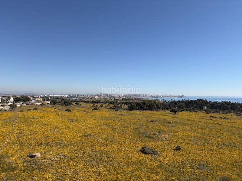 Foto 1e962a70-b1e3-4547-824d-493a759a1c4c. Apartament a Punta Prima Torrevieja