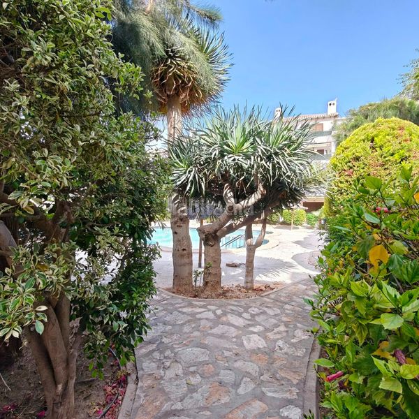 Foto 479d1420-c459-4088-99ca-18dfcf7f9abf. Casa a Cabo Roig Orihuela