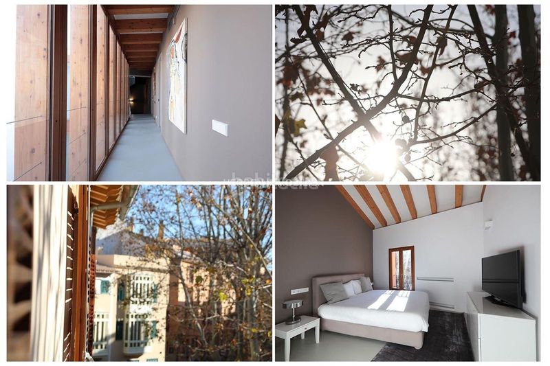 Foto 2078c2b8-b0e8-41eb-94b9-03fea77053e1. Casa amb calefacció aparcament piscina a La Llotja-Born Palma de Mallorca