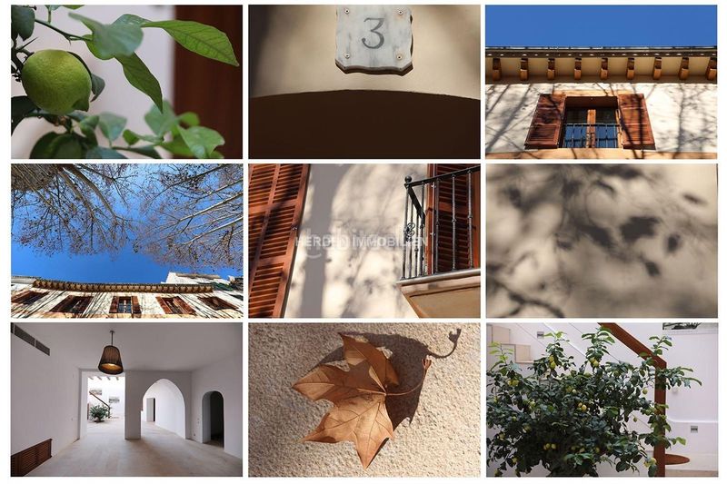 Foto 856a2abd-5a44-4e8e-b9bf-f6aee1d50e74. Casa amb calefacció aparcament piscina a La Llotja-Born Palma de Mallorca