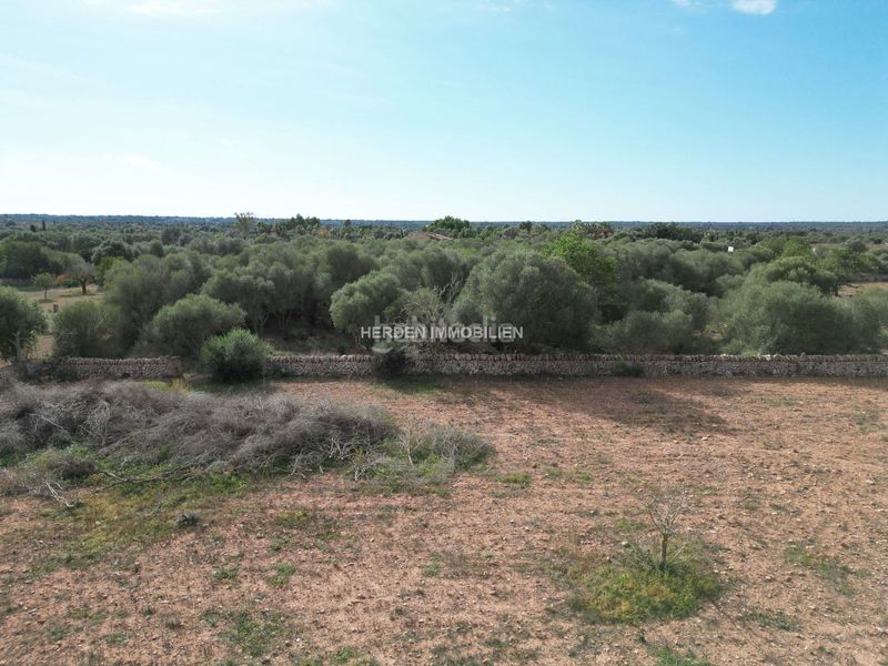 Foto 8d6bd138-9d2e-4d6d-aa6a-958c8ab67cd9. Terreno residencial terreno edificable en venta en Llucmajor