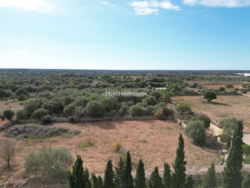 Foto d1286b26-be12-4a0a-84c6-0bc66a8643a9. Terreno residencial terreno edificable en venta en Llucmajor