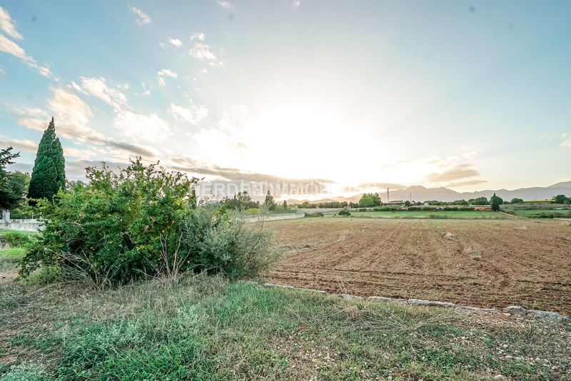 Foto d7775bb3-9fcd-4fe7-8bf8-4ed051de7b9b. Terreny residencial a Muro
