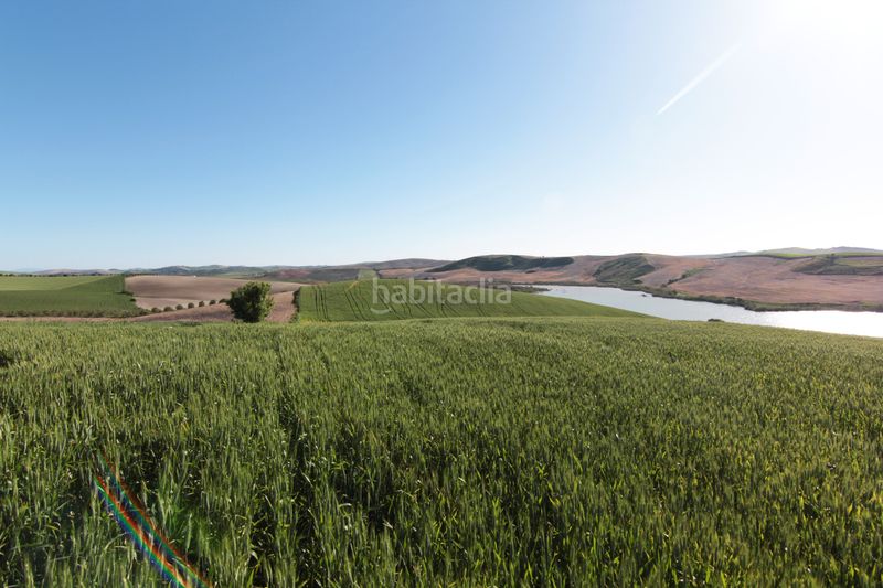Foto 0d0369e8-73e0-4763-890c-9bf050807c9d. Finca rústica a Pedanías Sur Utrera