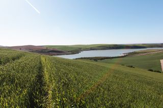 Rural plot in Pedanías Sur. Terreno en venta en utrera