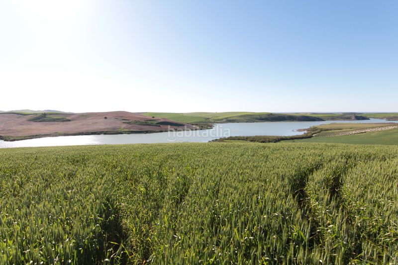 Foto 6eb58e61-72eb-4045-aa9a-1b084bf42490. Finca rústica a Pedanías Sur Utrera