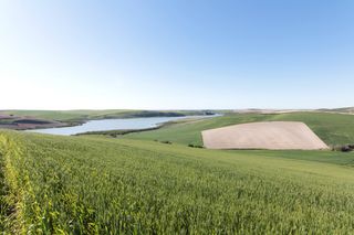 Finca rústica a Pedanías Sur. Terreno en venta en utrera
