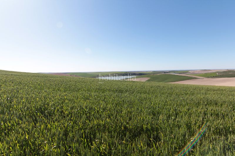 Foto 922b2303-7b1d-4102-8e71-58a48d46f842. Finca rústica a Pedanías Sur Utrera