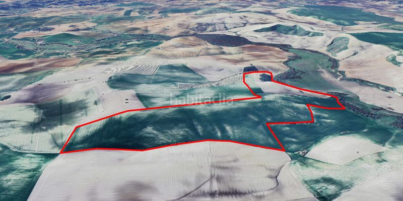 Foto adae0e34-aafa-44c9-9581-c1a5c565613e. Finca rústica a Pedanías Sur Utrera