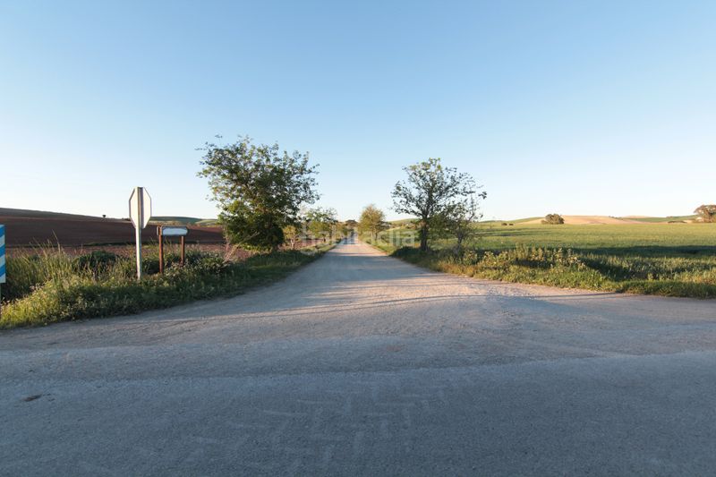 Foto c8d39633-d96d-4e61-99e3-8f0fe59a9610. Finca rústica a Pedanías Sur Utrera