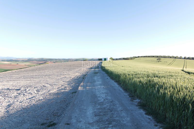 Foto c92b51a0-a6b6-4c3e-9b81-d2dbea6ef818. Finca rústica a Pedanías Sur Utrera