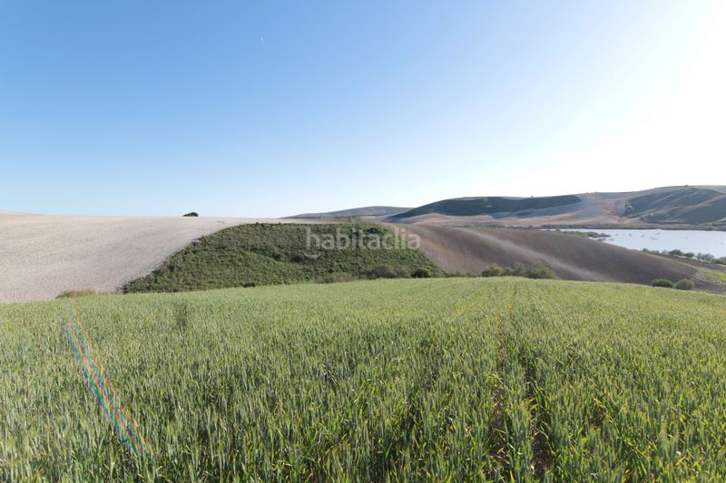 Foto d525ad1a-e369-4d81-bb14-e006fe3df013. Finca rústica a Pedanías Sur Utrera