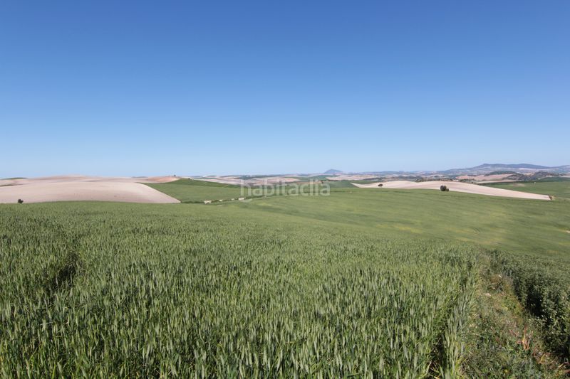 Foto e4be2ecc-3a30-43bf-afa0-b8d70432b1fa. Finca rústica a Pedanías Sur Utrera