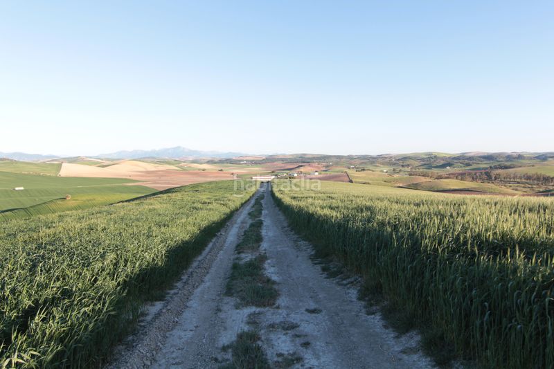 Foto fac4eabd-d128-453a-ba04-db57c087ffc3. Finca rústica a Pedanías Sur Utrera