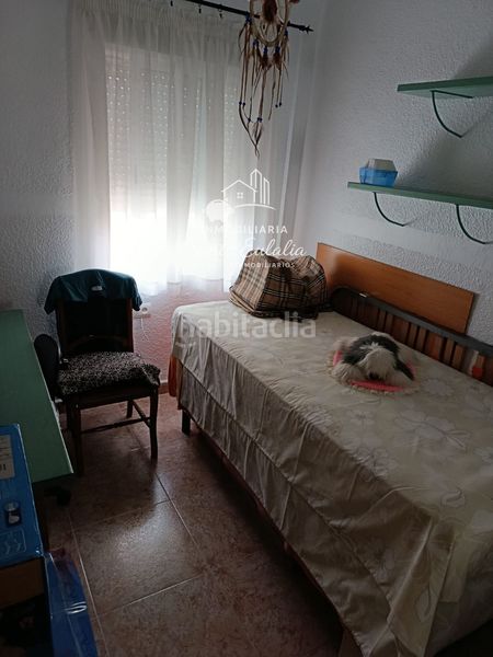 Foto a3899386-aa7b-4165-9df6-c3f43ff0a5fd. Piso  céntrico muy espacioso en Centro Mérida