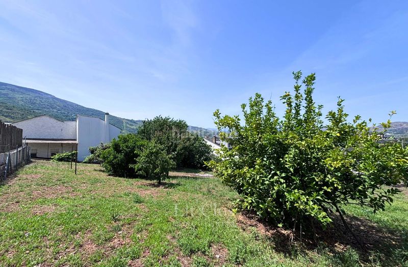 Foto f84f2683-db51-4695-b19c-f8fe98099235. Chalet casa con gran jardín, bodega de piedra y parte edificable en Rúa (A)