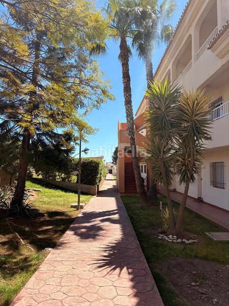 Foto 6a923f07-aa42-404c-a369-77c7bfd49841. Lloguer apartament amb piscina a Torrox park Torrox