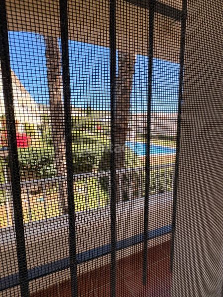 Foto c04eaf20-74b6-433a-ad09-012c0e7969d9. Lloguer apartament amb piscina a Torrox park Torrox