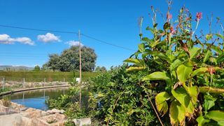 Rural plot in N/a. Finca rústica única en vilallonga del camp – gran oportunidad