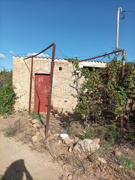 Foto 28a0a54f-4dbe-4573-a1b6-60533983ebd6. Finca rústica a n/a a Vilallonga del Camp