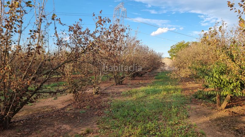 Foto b5280d29-8613-4f53-b219-a71382307d49. Finca rústica a n/a a Vilallonga del Camp