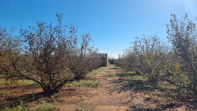 Foto bfbb4886-0796-4abd-b089-66be33abce41. Finca rústica a n/a a Vilallonga del Camp