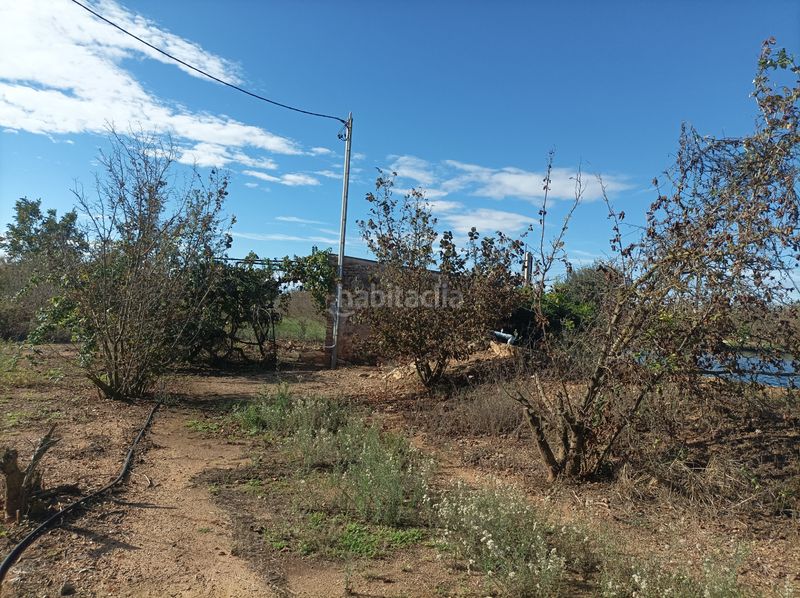 Foto ce77e825-cdf2-4d41-a94a-dff8cfc7df26. Finca rústica a n/a a Vilallonga del Camp