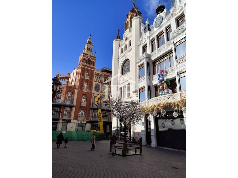 Foto 3cbc2bf0-3e30-4b1e-843a-3a0ff8b3bb3b. Pis a Casco Antiguo Badajoz