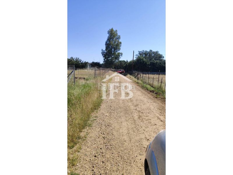 Foto 70745856-5487-46c1-98ea-a3a2ba6fa01e. Finca rústica a pedanías de Badajoz Badajoz