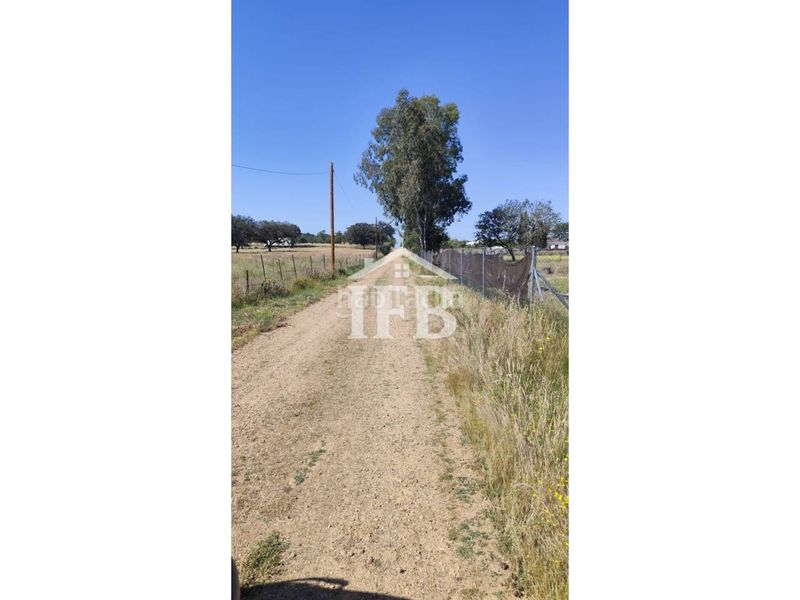 Foto 9a0a12e0-5c4d-494e-b399-42631225fec3. Finca rústica a pedanías de Badajoz Badajoz