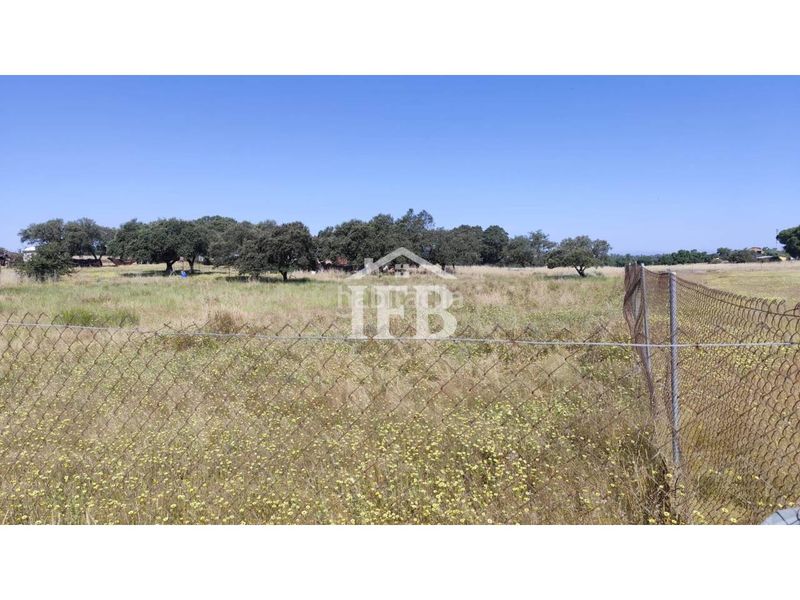 Foto a4231484-be88-4040-a9f4-915536f5eceb. Finca rústica a pedanías de Badajoz Badajoz