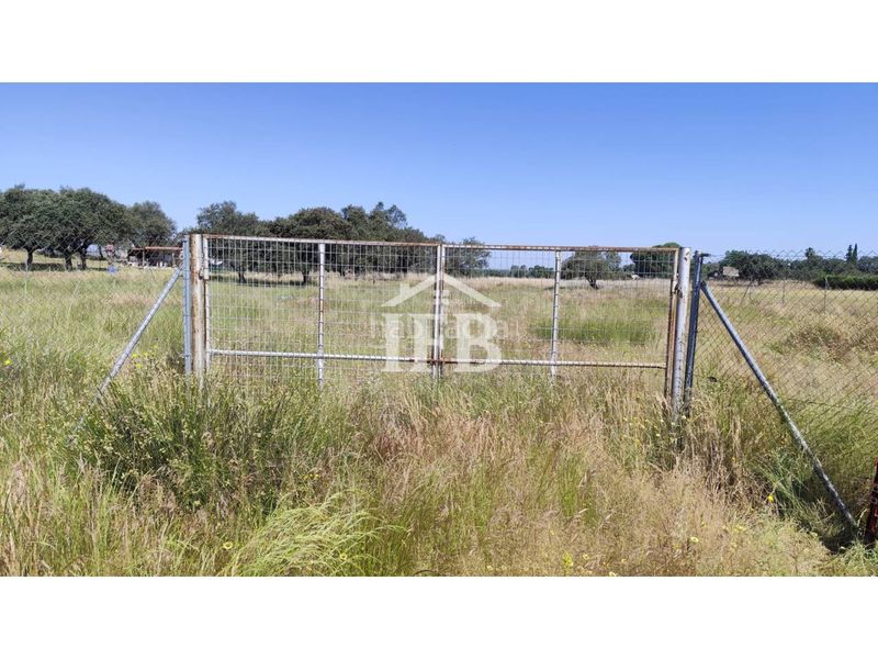 Foto b155d5ba-168b-4122-9ddf-83f367b69b60. Finca rústica a pedanías de Badajoz Badajoz