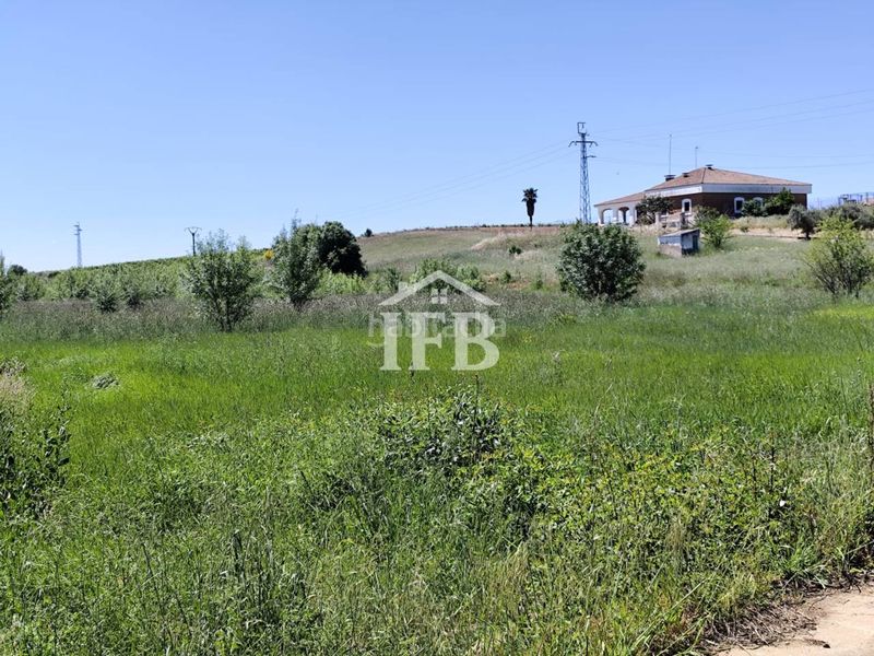 Foto 2bc276b1-0eb2-4e36-9607-bbe999b0eb0f. Casa adossada amb aparcament a Carretera de Sevilla - Los Montitos Badajoz