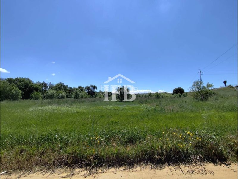 Foto 4699a647-c499-45de-9fd8-5d42f7cf23e6. Casa adossada amb aparcament a Carretera de Sevilla - Los Montitos Badajoz