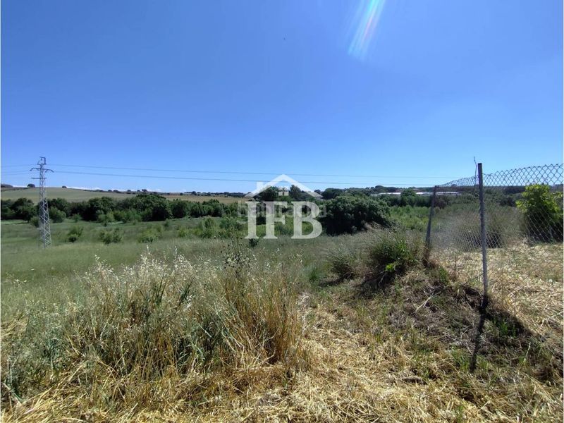 Foto 4fd7b6fa-c038-4f99-a82a-e5783f24c837. Casa adossada amb aparcament a Carretera de Sevilla - Los Montitos Badajoz