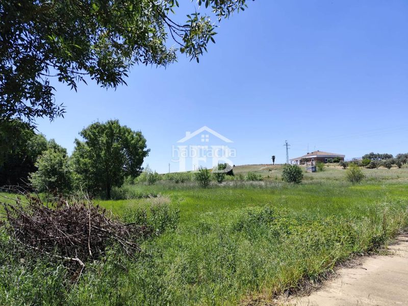 Foto 67c11649-8f40-4327-99b8-6333e22a2b2f. Casa adossada amb aparcament a Carretera de Sevilla - Los Montitos Badajoz
