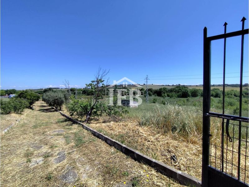 Foto ca8acbdc-3f3d-4366-bdf4-7d443b8e487a. Casa adossada amb aparcament a Carretera de Sevilla - Los Montitos Badajoz