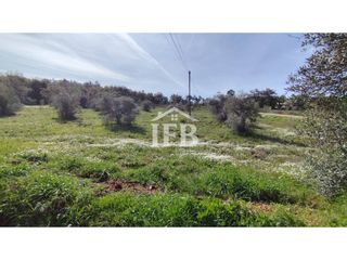 Finca r�stica  Calle marco. Finca r�stica de 3,6 hect�reas en alto das minas portugal con ex
