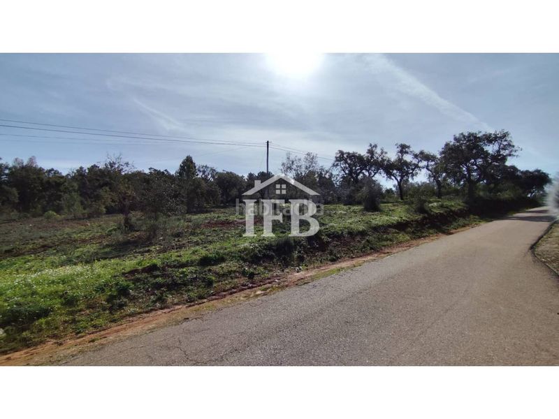 Foto 51c8d9e0-b1b5-4bcb-8ea9-5d29327957f6. Finca rústica a Codosera (La)