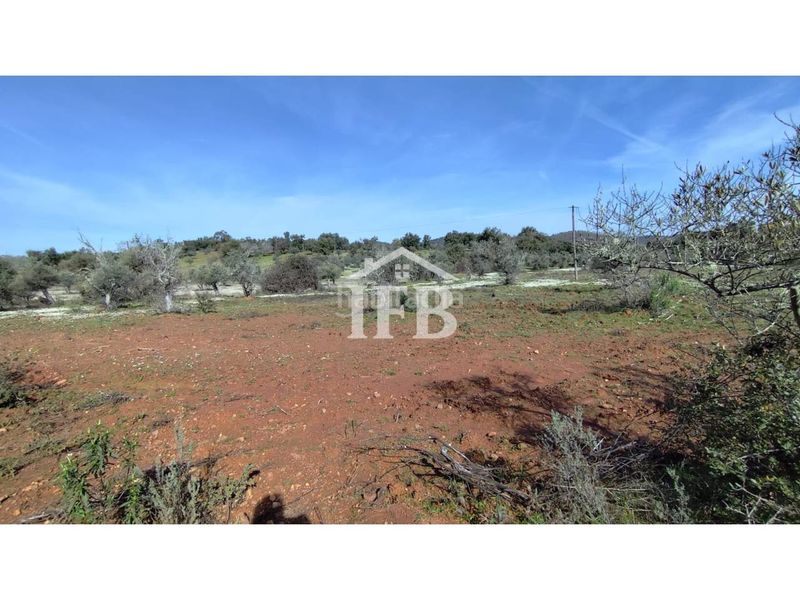 Foto df61c44d-526e-4980-a967-779ff1ad4ed8. Finca rústica a Codosera (La)