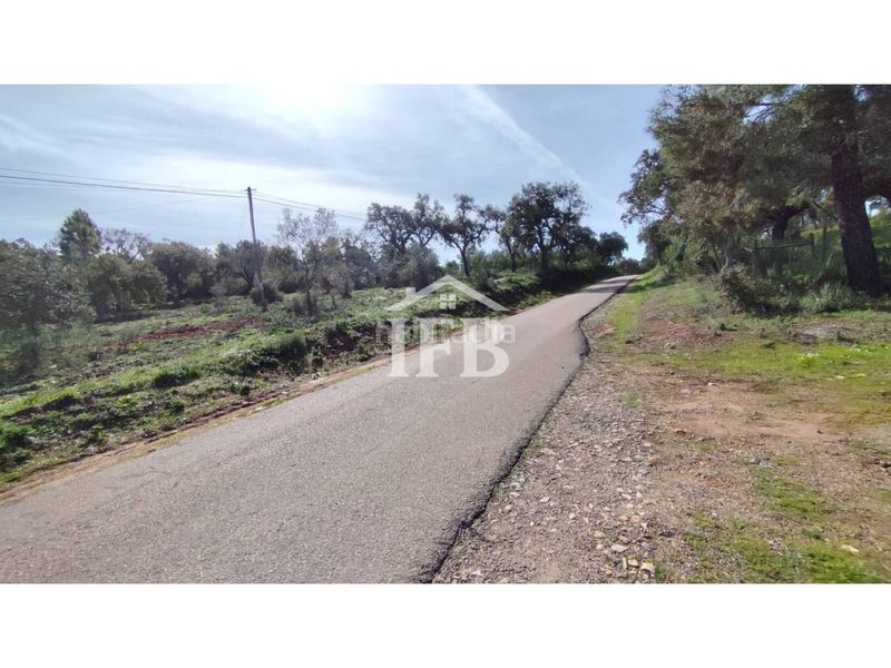 Foto f2148cca-4e55-4670-9efa-96833c03fa5b. Finca rústica a Codosera (La)
